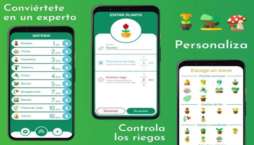 Wateria simplifica el seguimiento de riego para tus plantas de una manera eficaz