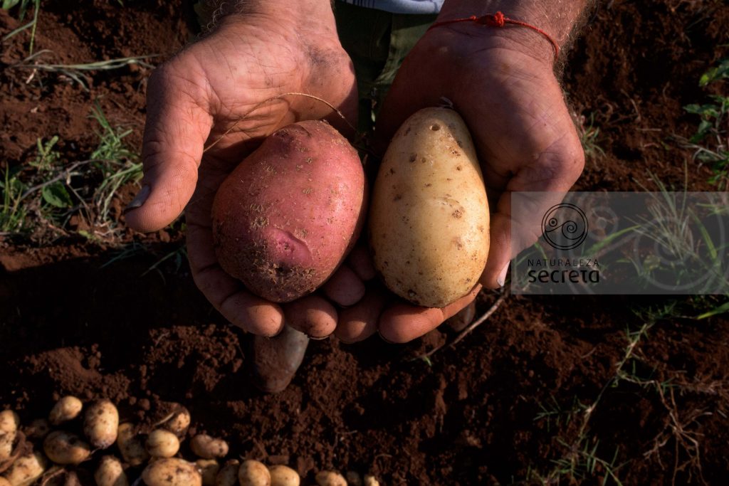 La agricultura es víctima y victimaria del cambio climático