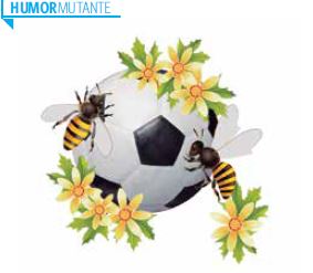 Abejas y flores sobre pelota de fútbol.