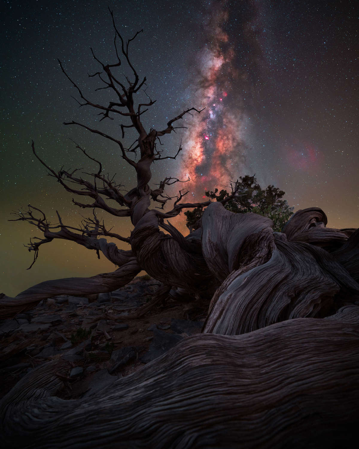 "Mother Juniper" por BENJAMIN BARAKAT Jebel Shams, Omán
