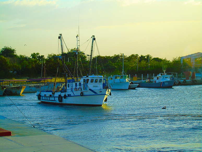 Golfo de Guacanayabo