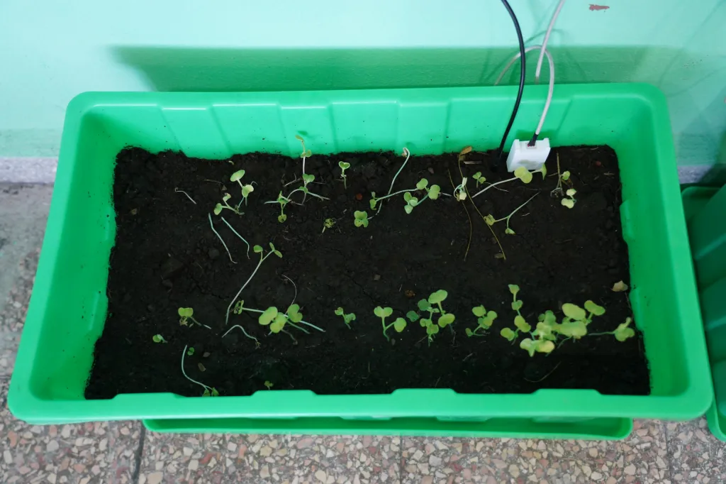 “El prototipo más avanzado que tenemos es una red de sensores que permiten monitorear las variables climáticas en los cultivos”, señaló el Dr. C. Luis Alberto Quintero Domínguez. (Foto: cortesía de FabLab) 