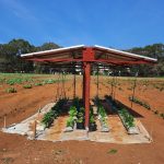 vivero agrofotovoltaico