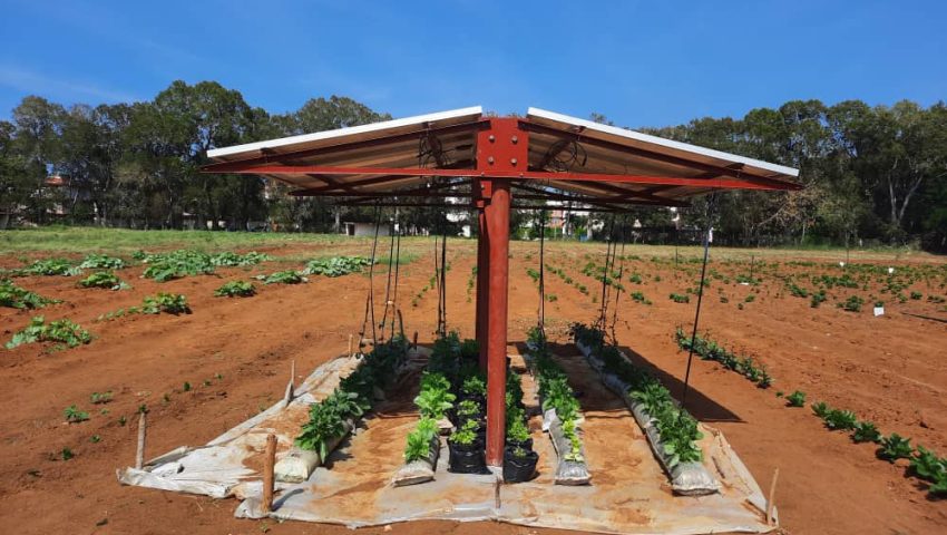 vivero agrofotovoltaico