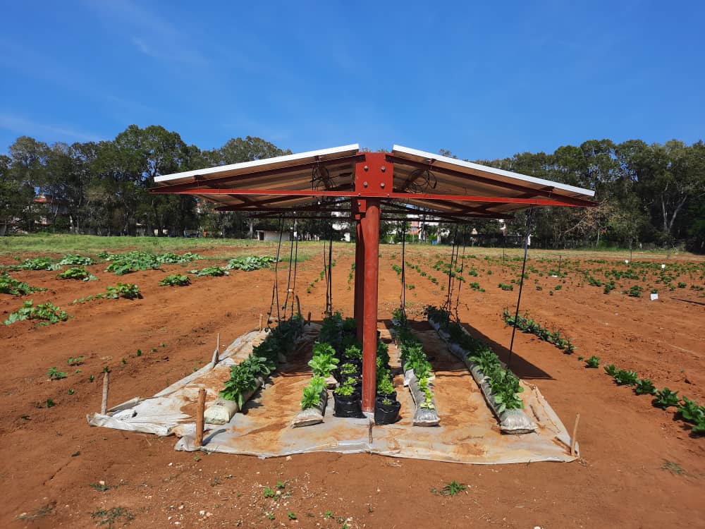 vivero agrofotovoltaico