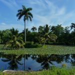 cuba medio ambiente