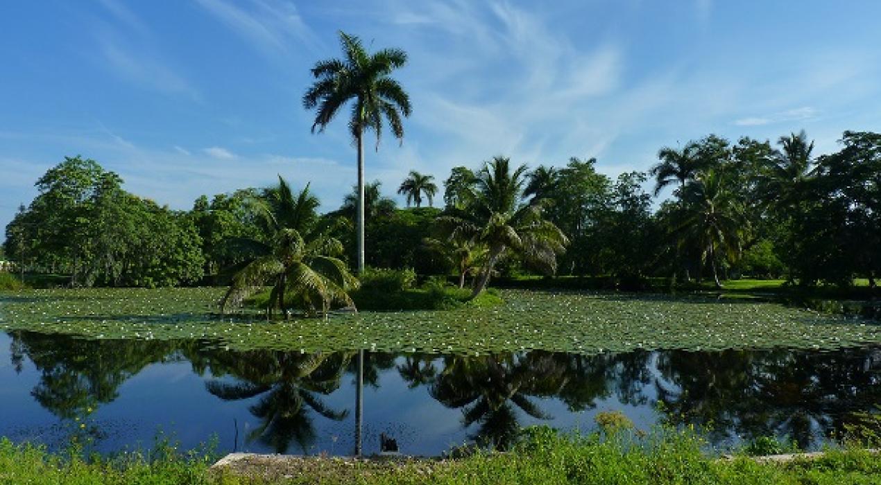 cuba medio ambiente