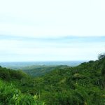 Programa Nacional de diversidad biológica