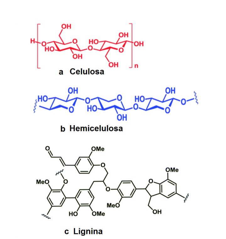 Estructura de la celulosa, hemicelulosa y lignina. Tomado de: Leighton, L. (2013). No title. 1–1.