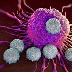 Células T atacando una célula cancerígena.