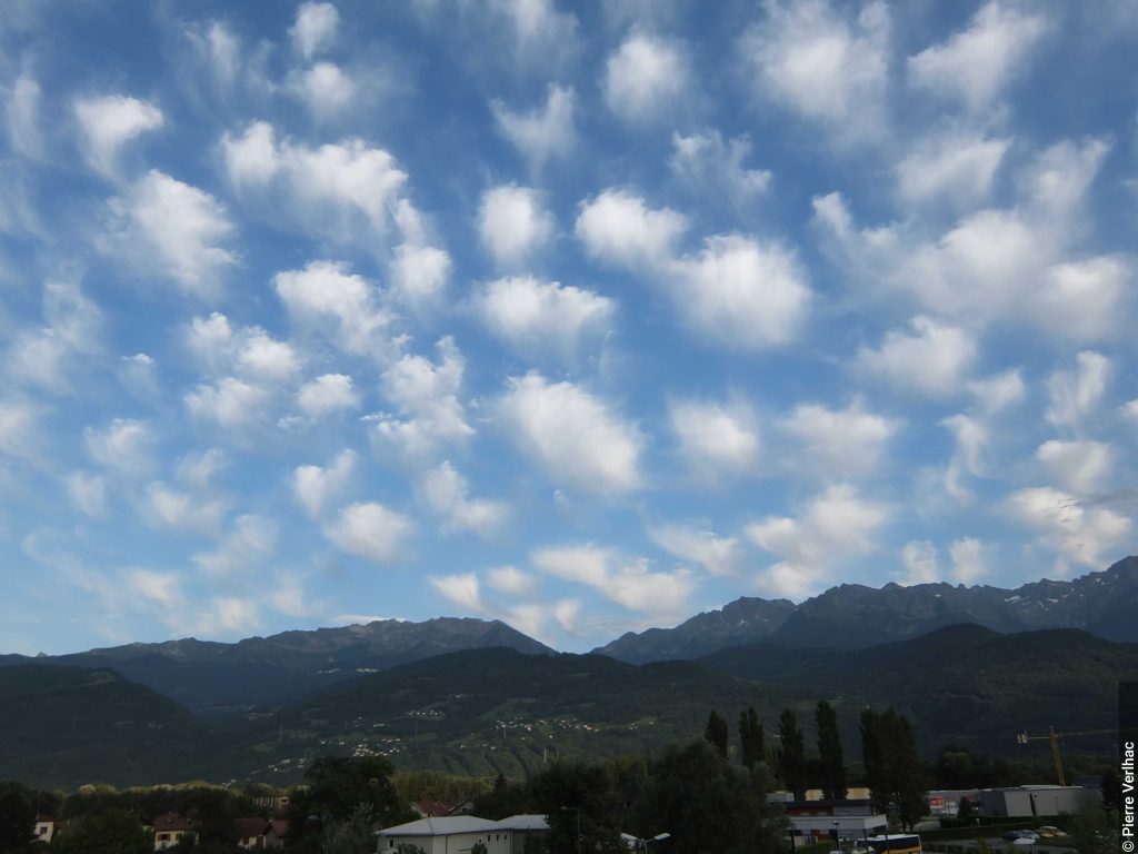 Cirrus floccus