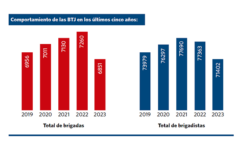Comportamiento de las Brigadas Técnicas Juveniles en los últimos cinco años. 