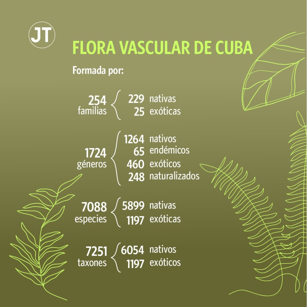 Flora vascular de Cuba