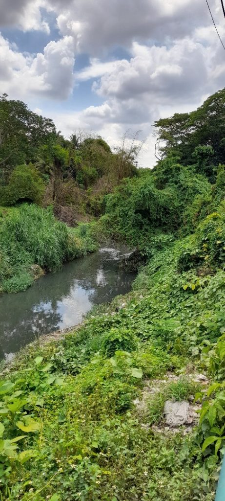 La notable capacidad d autodepuración del río Almendares disminuye a lo largo de su cauce por la fuerte carga contaminante fundamentalmente proveniente de albañales no tratados (Foto del autor)