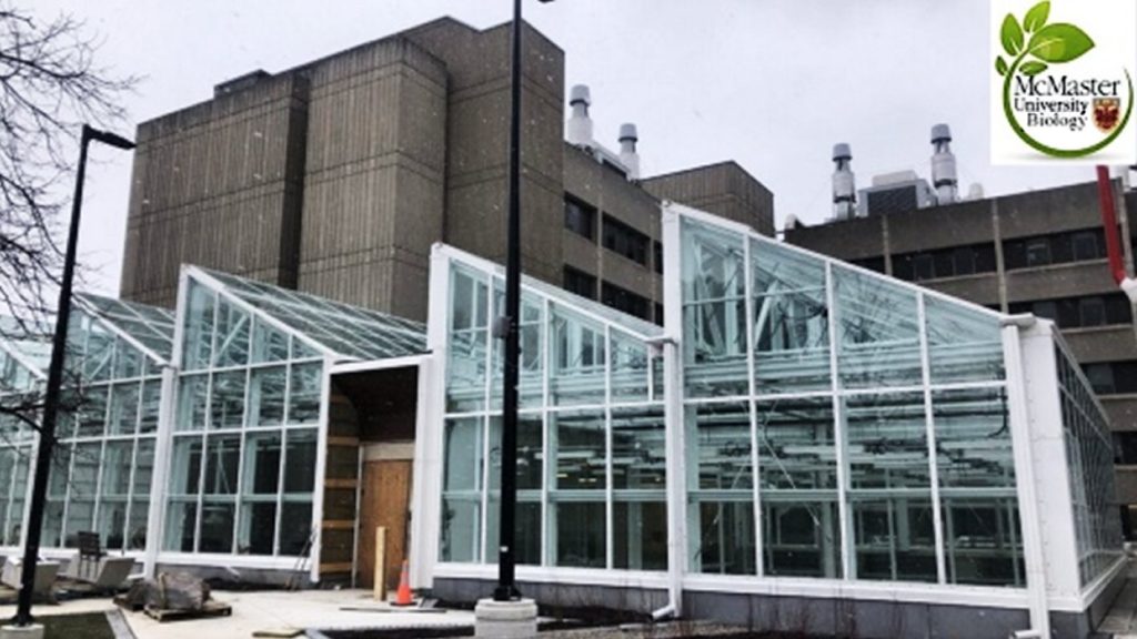 Jonathan Pruitt trabajó en la Universidad McMaster, en la plaza de profesor asociado de Ecología del Comportamiento y titular de la cátedra de investigación en Distopías Biológicas.