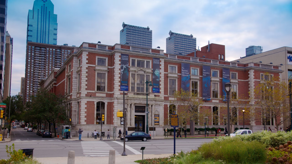 >Otro de los grandes museos de historia natural es el de la Academia de Ciencias Naturales de la Universidad Drexel, anteriormente conocido como la Academia de Ciencias Naturales de Filadelfia