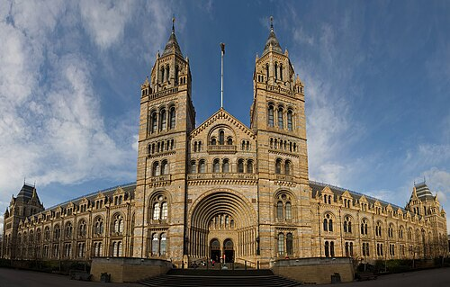 Otro de los museos de historia natural más importante de mundo es el de Londres. Ubicado en Cromwell Road, Londres, alberga una vasta colección de especímenes que abarcan desde fósiles de dinosaurios hasta minerales y gemas.