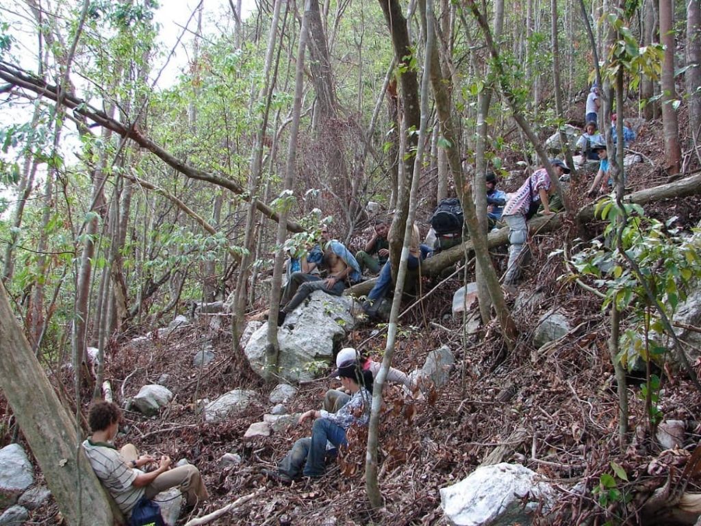 Un alto en el camino hacia el Pan de Guajaibón