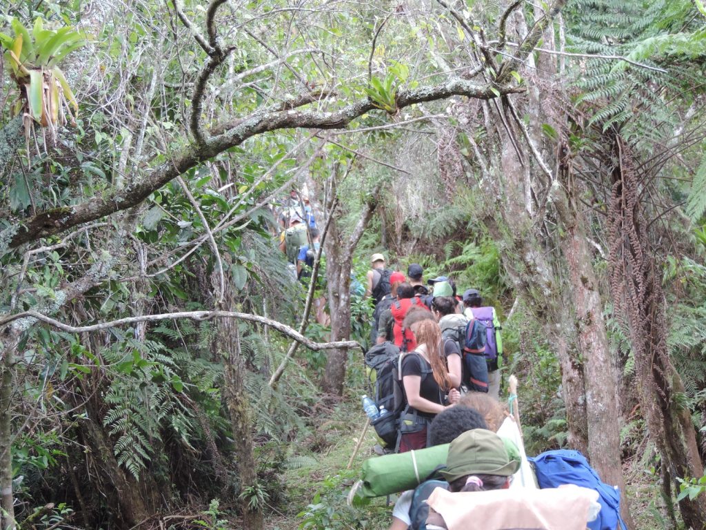 Camino a la loma de La Gloria rumbo al Turquino