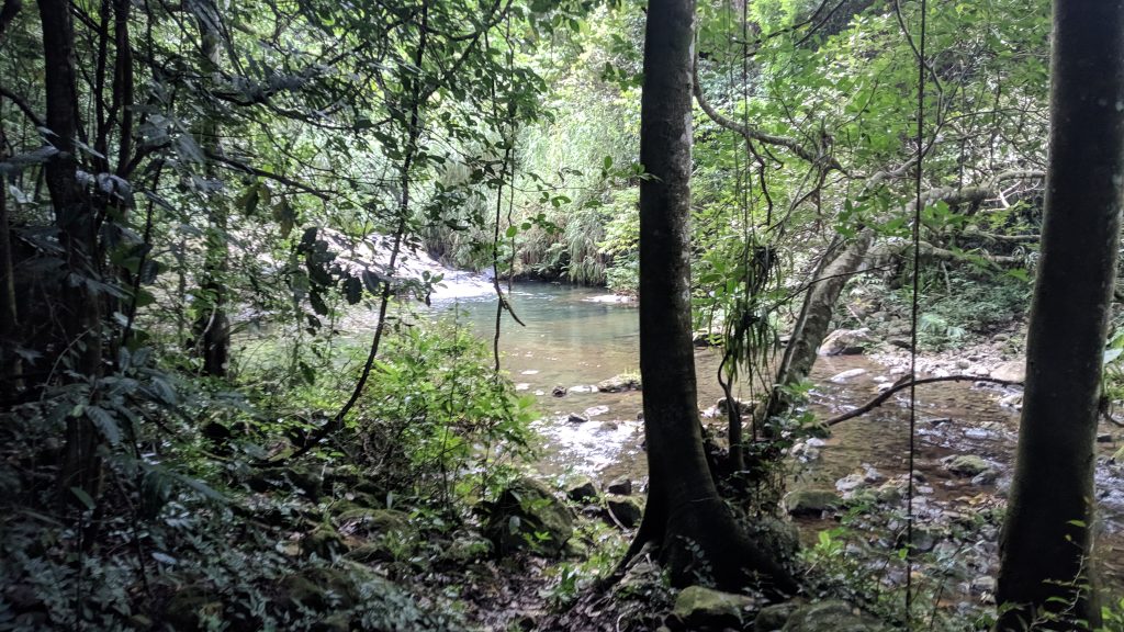 El río Yara a la bajada del Turquino