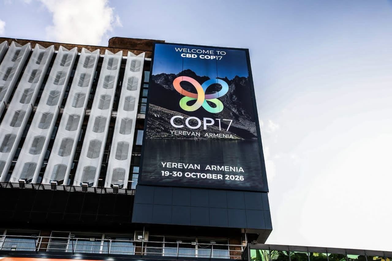 COP 17 en Armenia